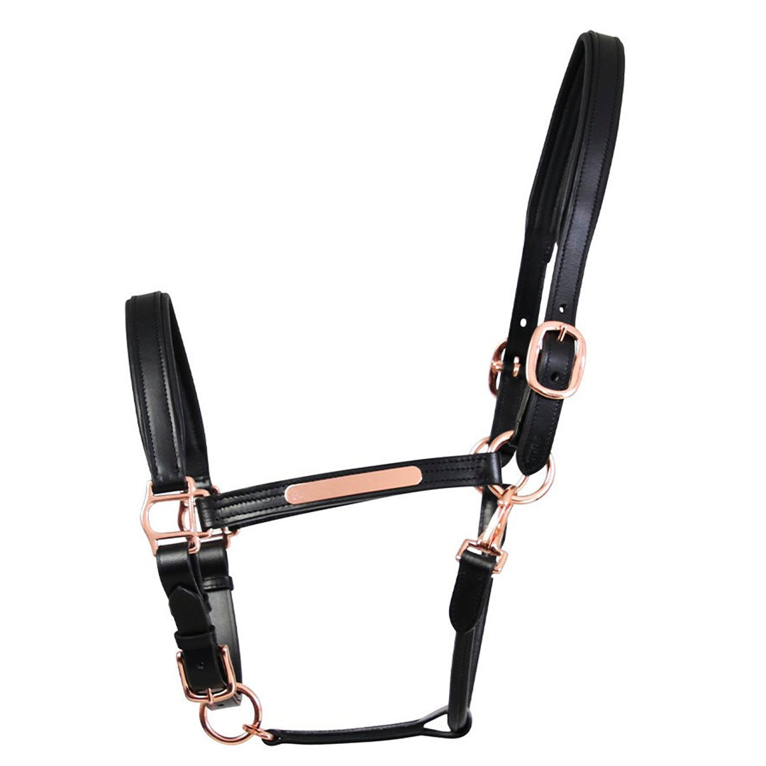 Hy Equestrian Leather Head Collar
