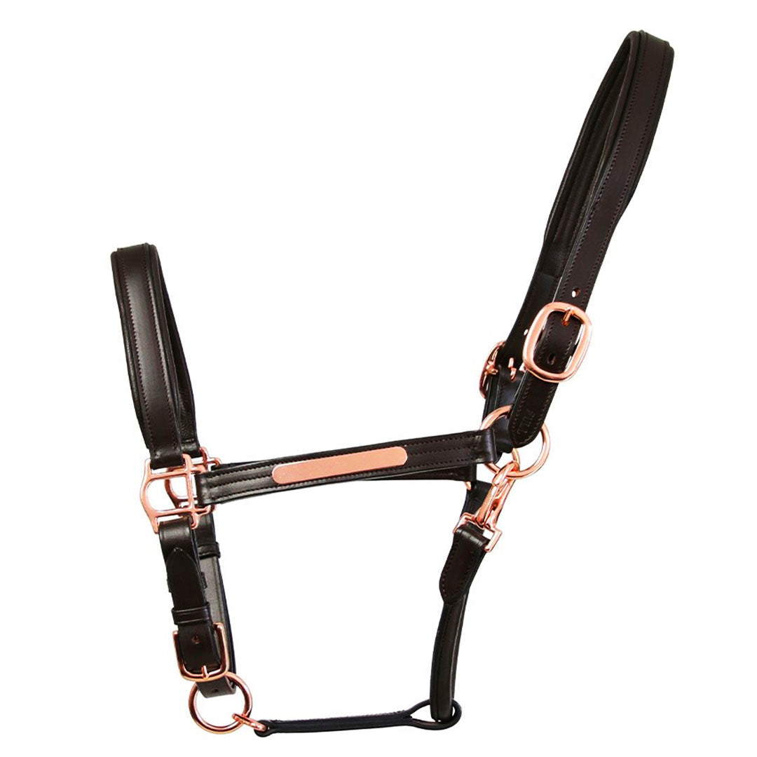 Hy Equestrian Leather Head Collar