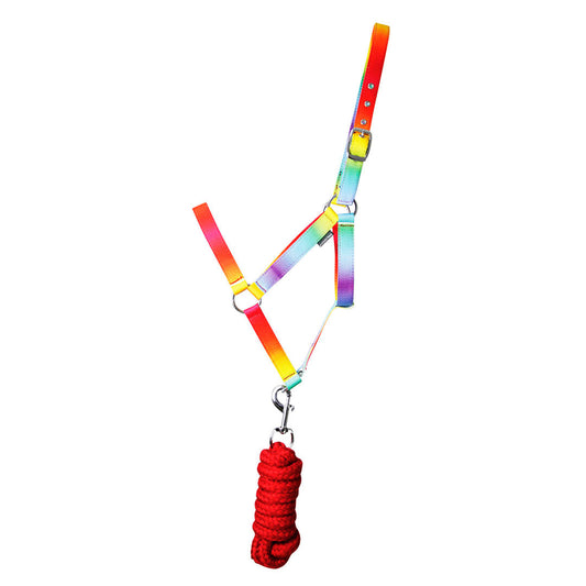 Hy Equestrian Ombre Head Collar & Lead Rope