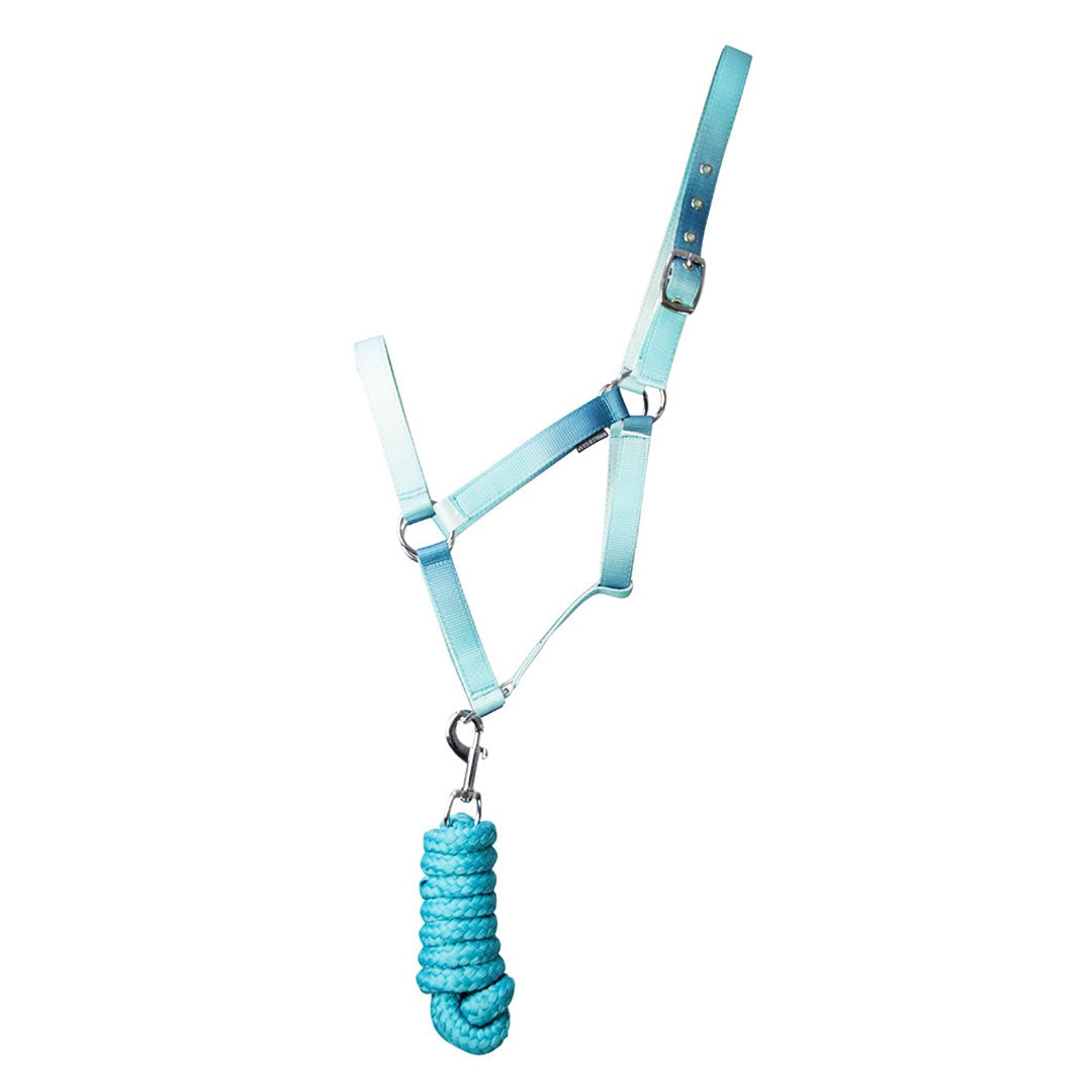 Hy Equestrian Ombre Head Collar & Lead Rope