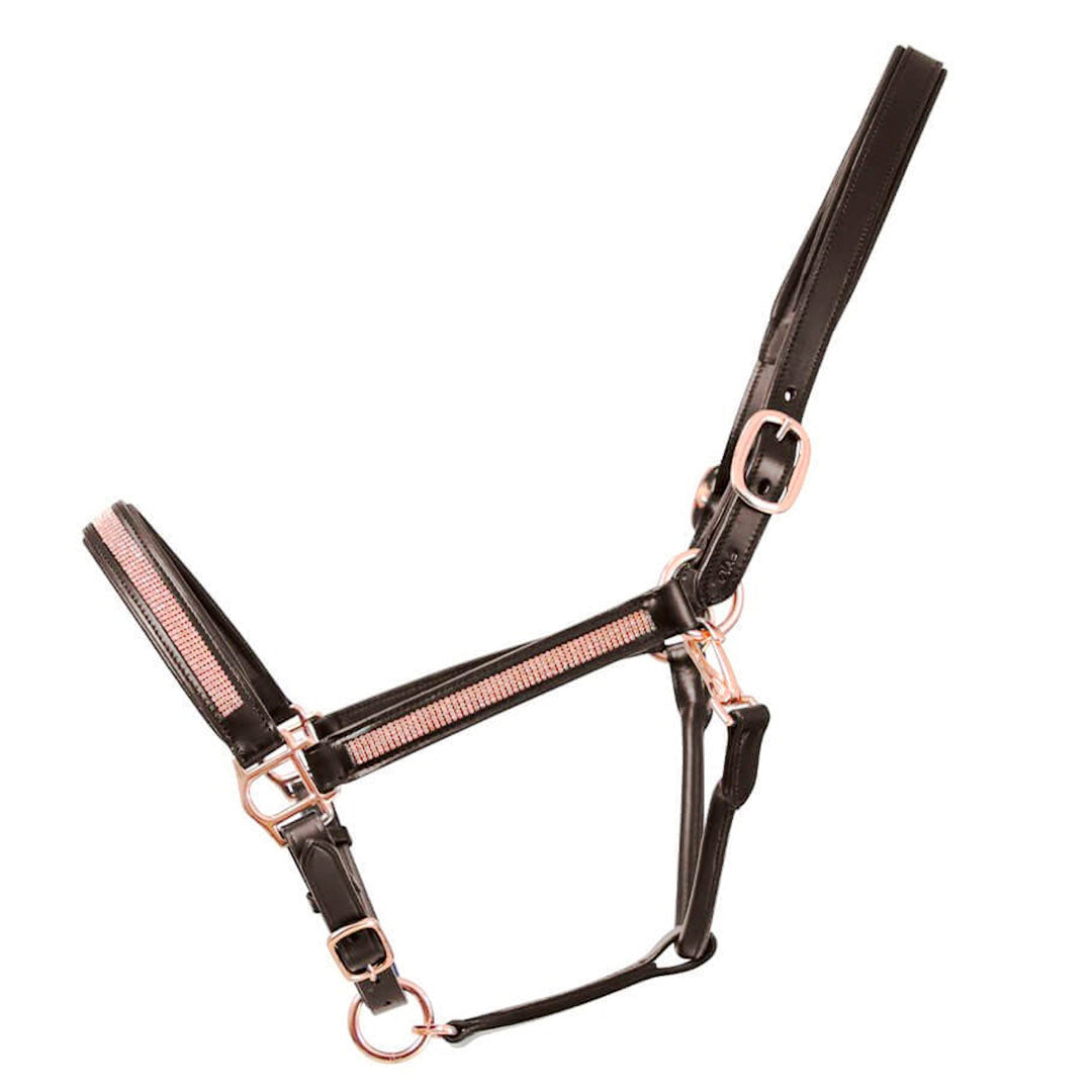 Hy Equestrian Rosciano Rose Gold Detail Leather Head Collar