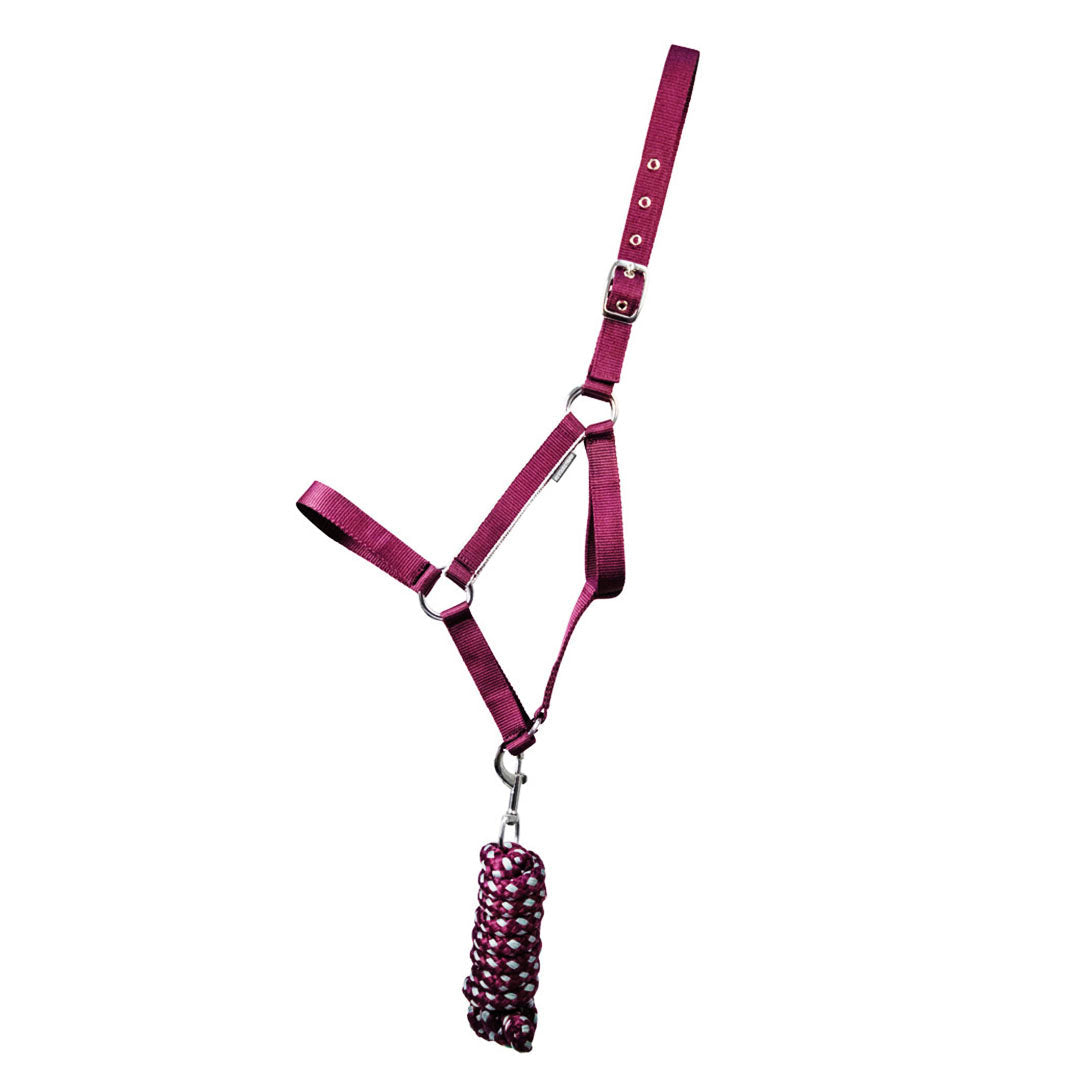 Hy Equestrian Synergy Head Collar and Lead Rope Set
