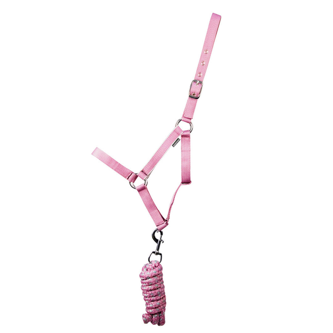 Hy Equestrian Synergy Head Collar and Lead Rope Set