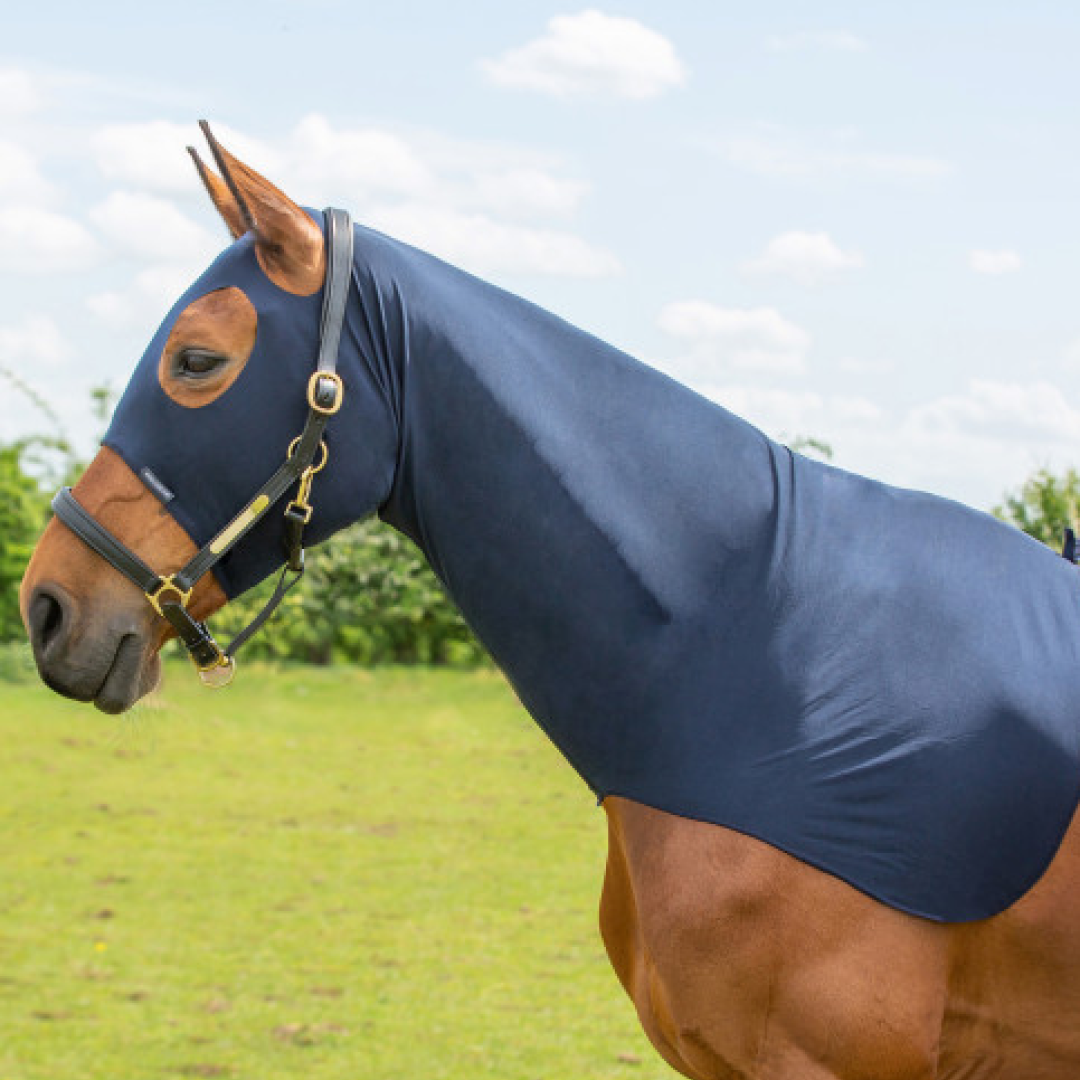 Hy Equestrian Lycra Flex Hood