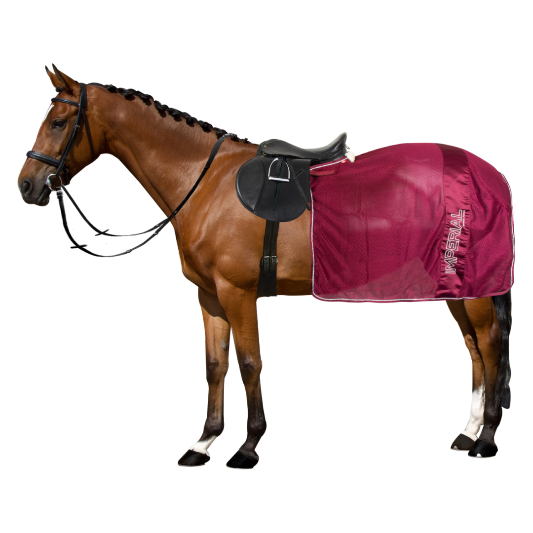 Imperial Riding Ambient Ride-on Fly Sheet