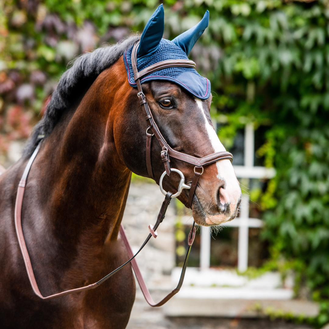 Horseware Ireland Rambo Ear Net
