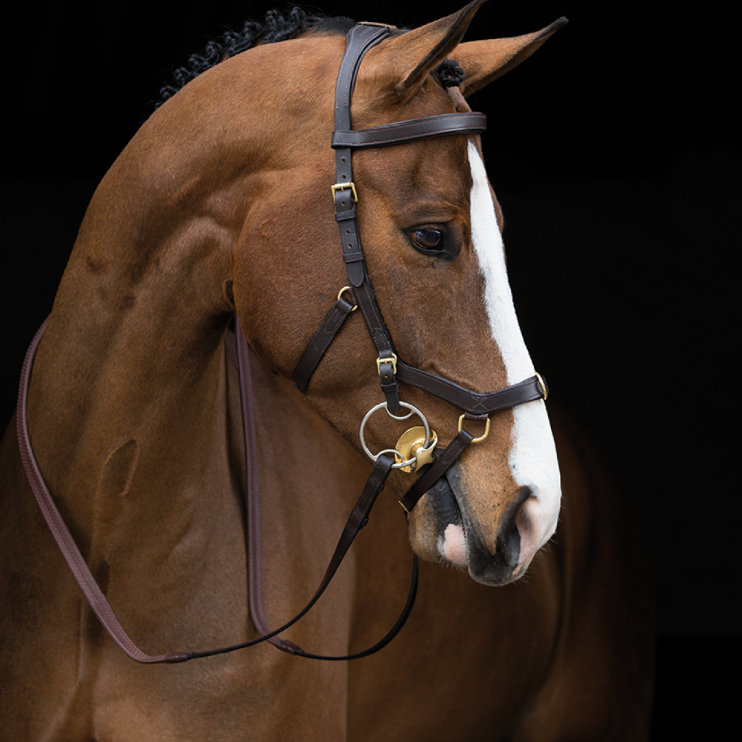 Horseware Ireland Rambo Micklem Multibridle