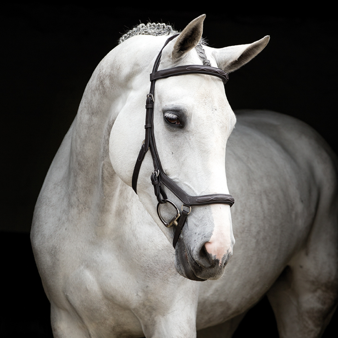 Horseware Ireland Rambo Micklem Deluxe Competition Bridle