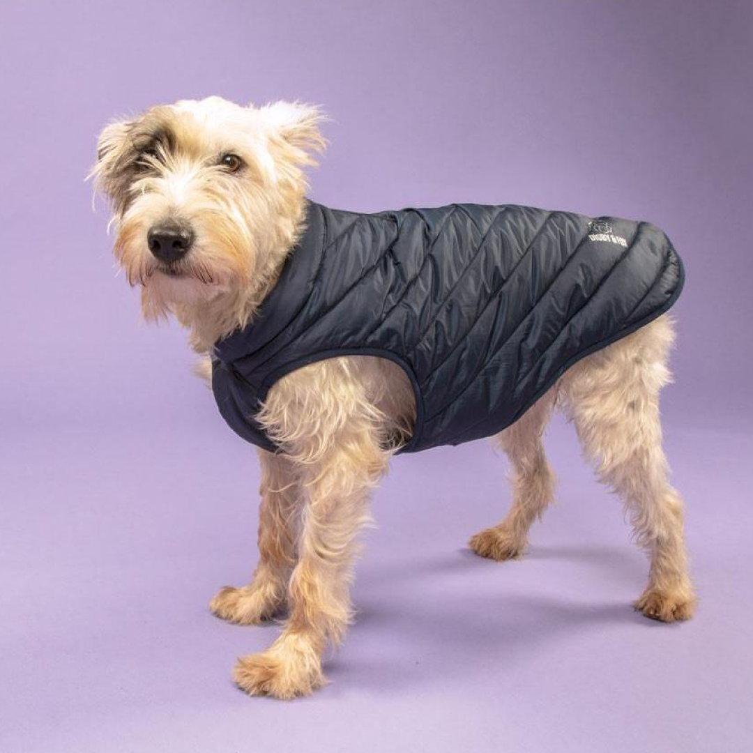 Shires Digby & Fox Padded Dog Coat