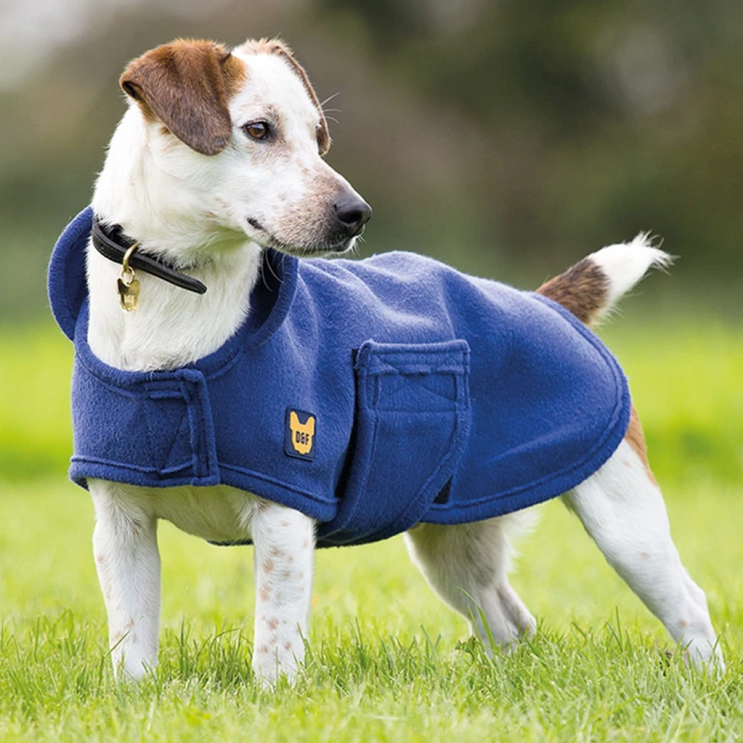 Shires Digby & Fox Dog Towel Coat