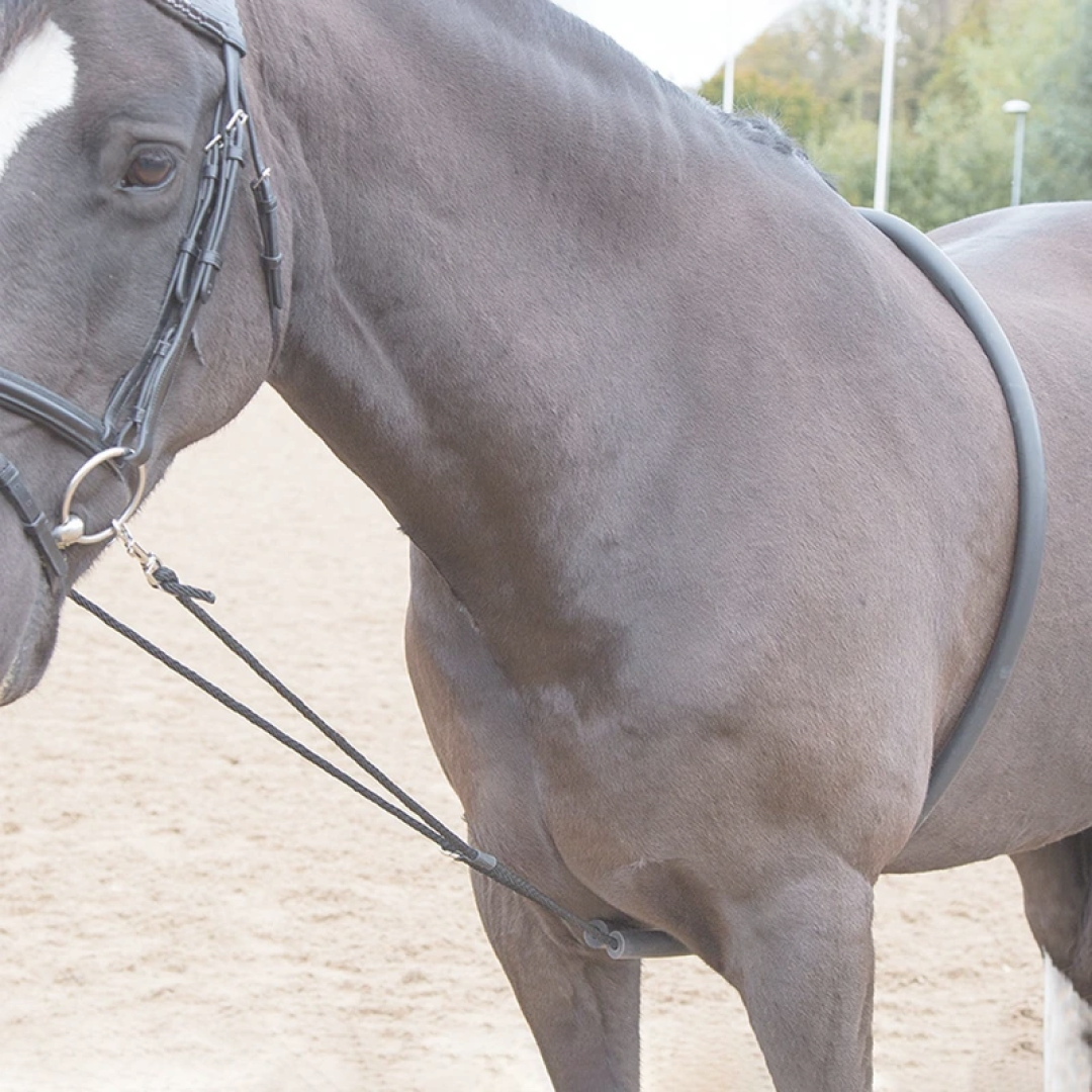 Shires Soft Lunge Aid