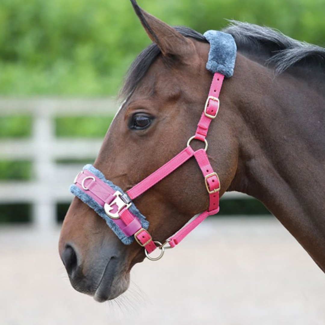 Shires Fleece Lined Lunge Cavesson