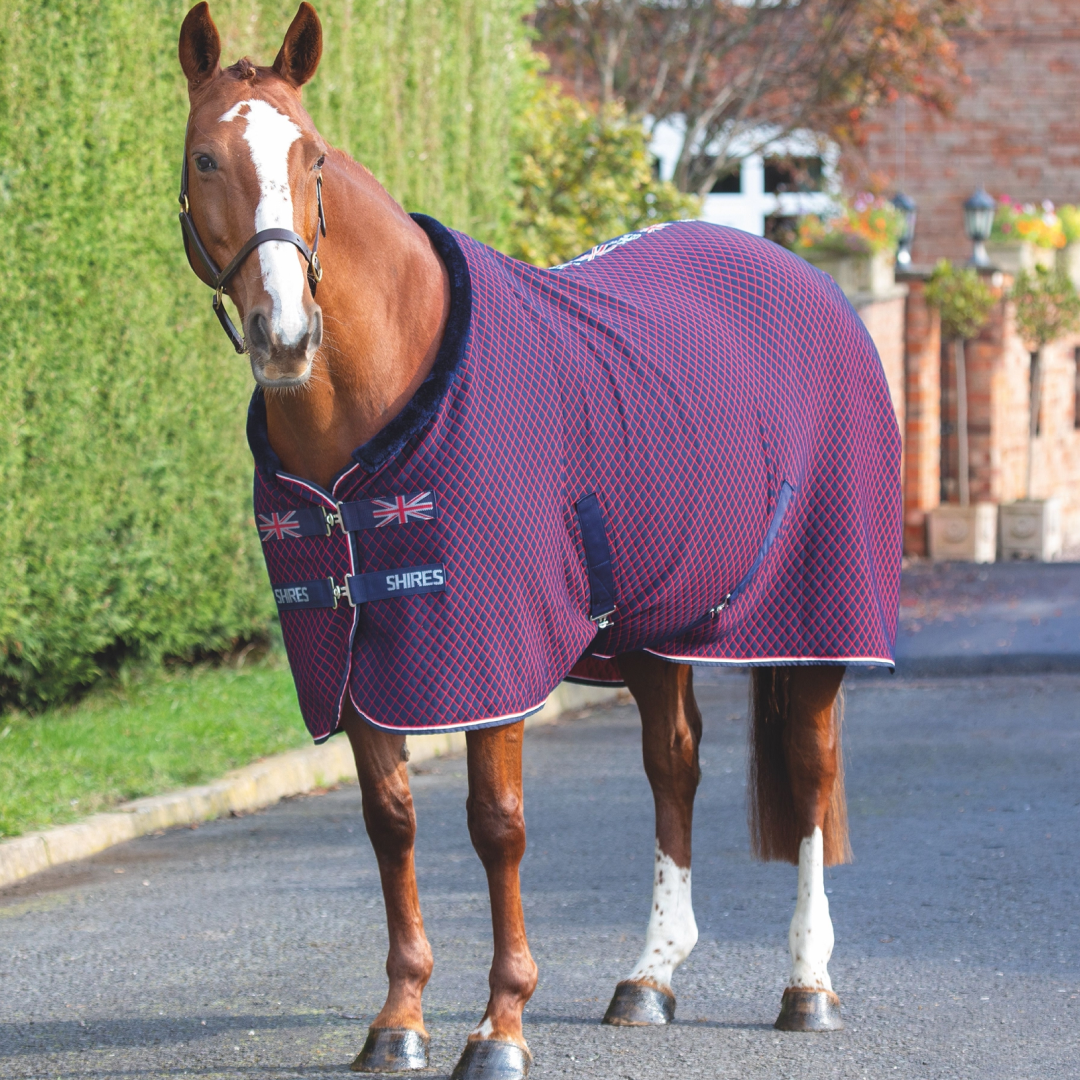 Shires Tempest Original Team Shires Rug