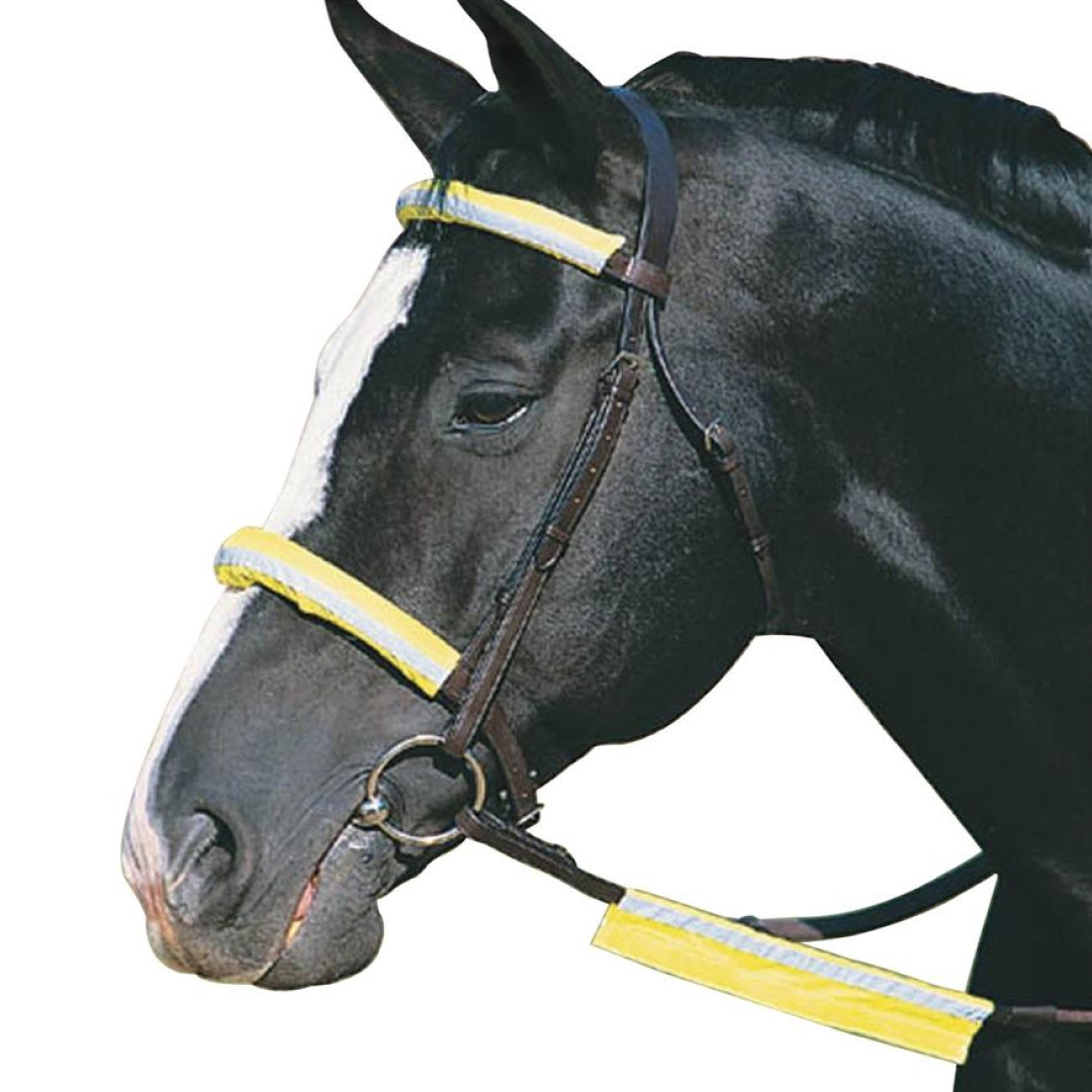 Roma Reflective Bridle Kit