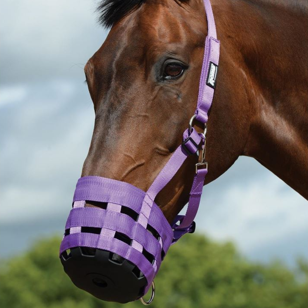 Roma Grazing Muzzle