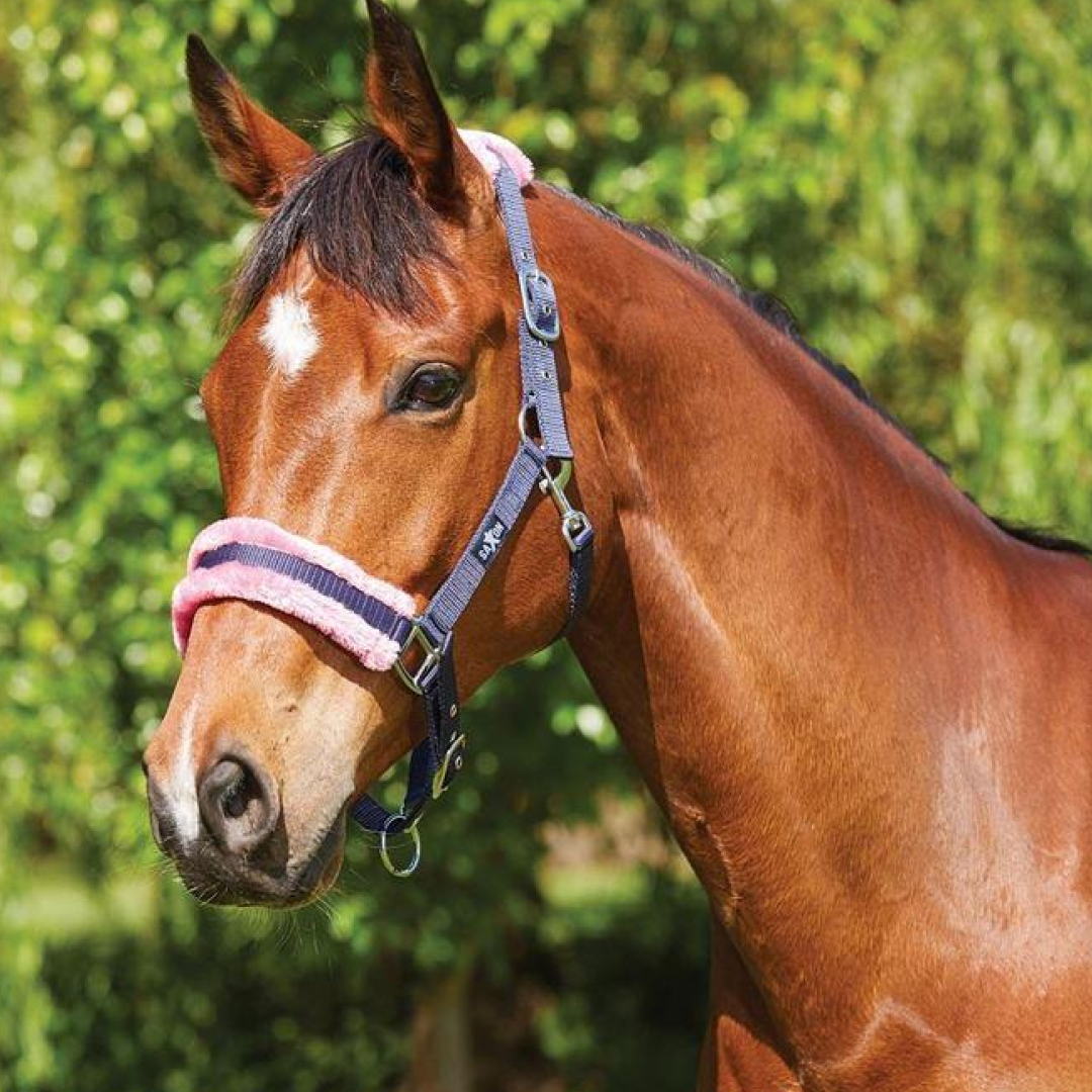 Saxon Element Fleece Headcollar
