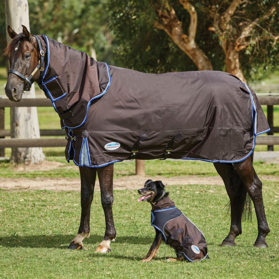 Weatherbeeta Comfitec Ultra Cozi II Detach-A-Neck Medium/Lite