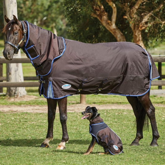 Weatherbeeta Comfitec Ultra Cozi II Detach-A-Neck Medium/Lite