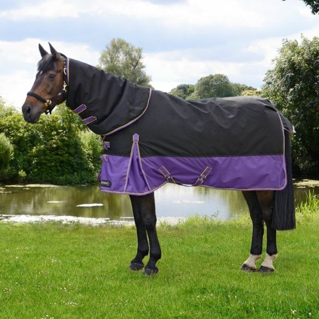 StormX Original 200g Turnout Rug with Detachable Neck Cover