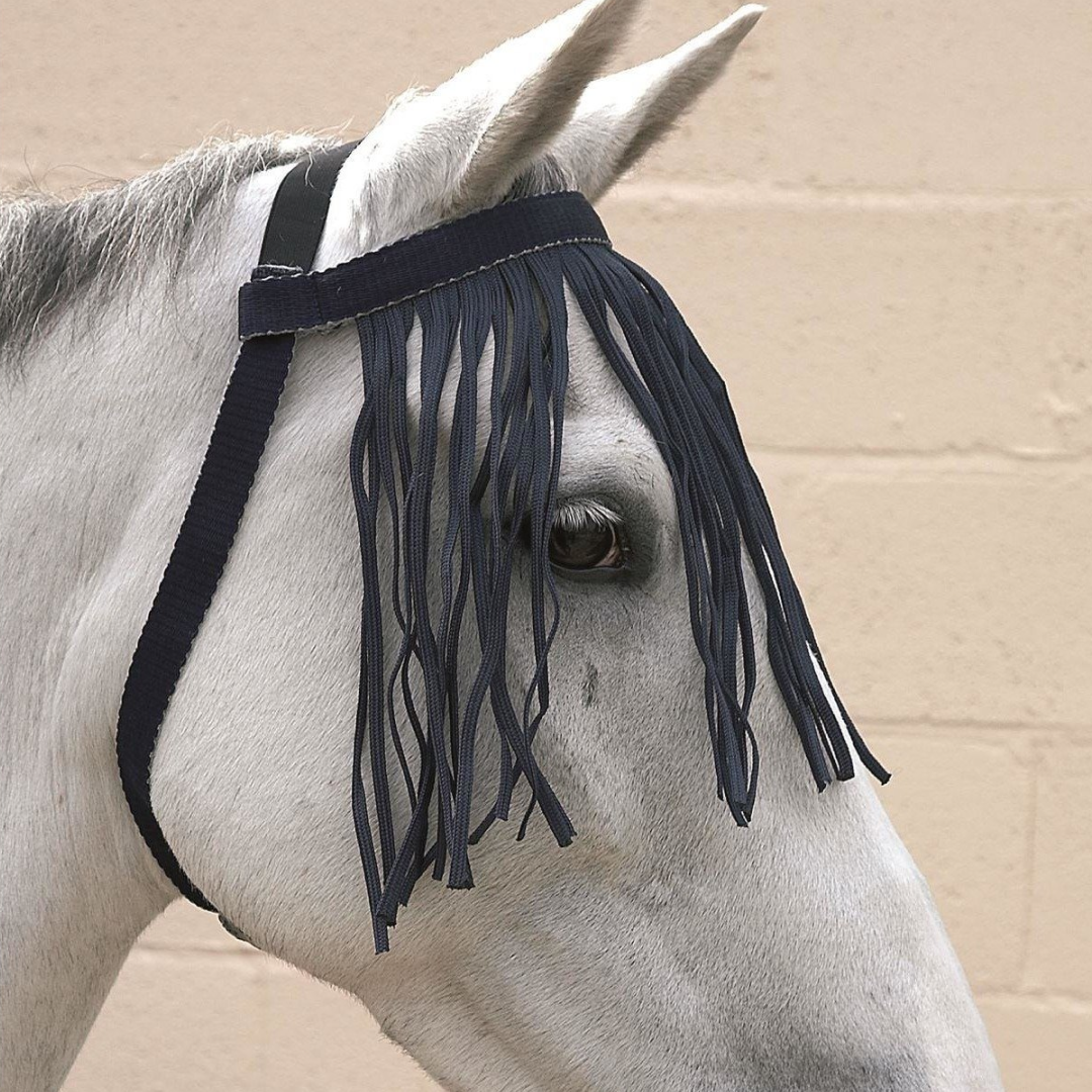 Hy Free Fit Fly Fringe