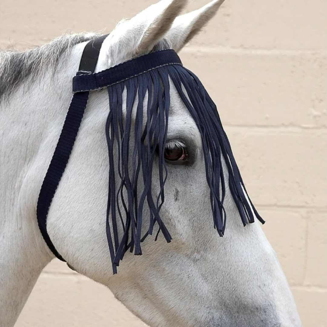 Hy Free Fit Fly Fringe