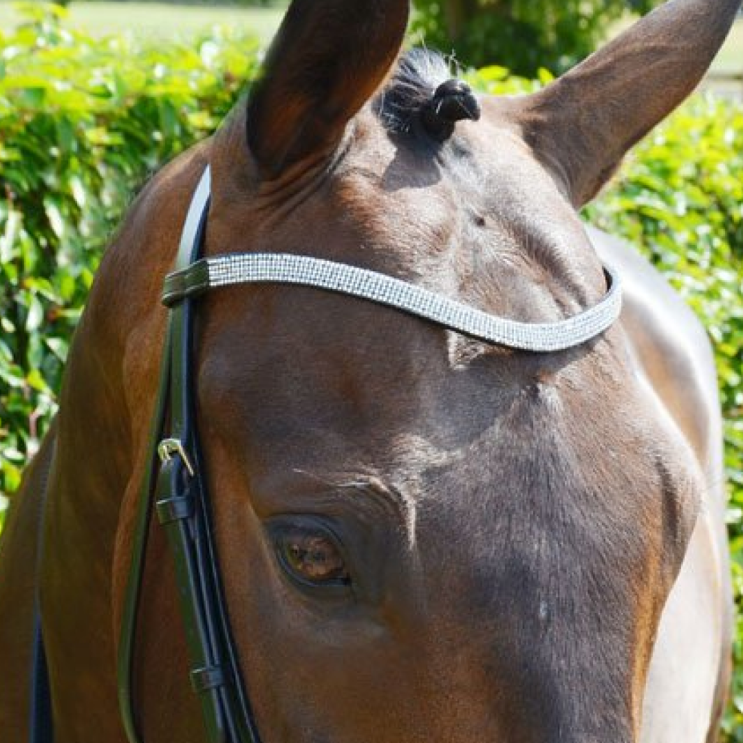 Hy Diamond Flash Bridle with Rubber Reins