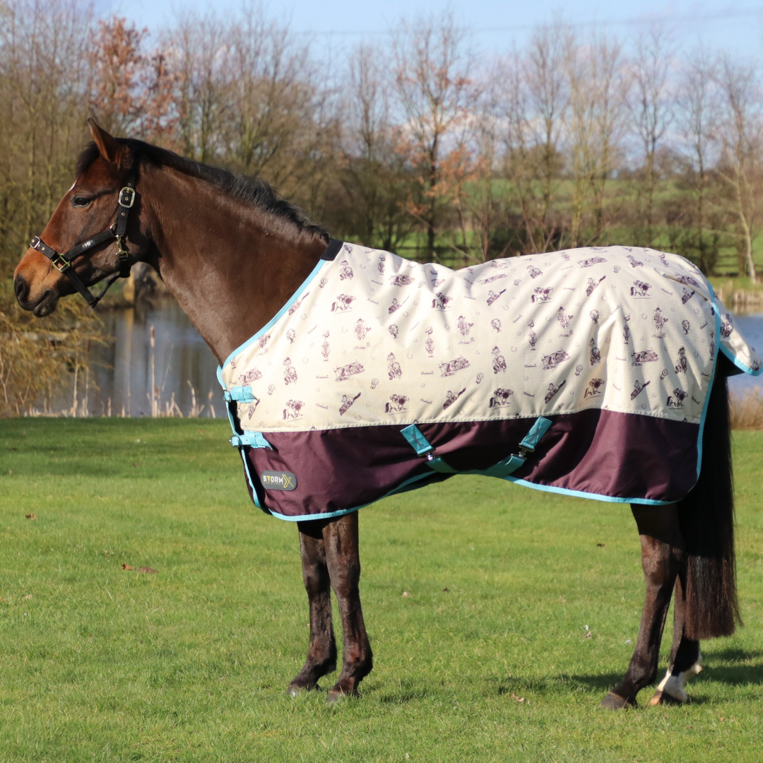 StormX Original 100g Turnout Rug - Thelwell Collection Country