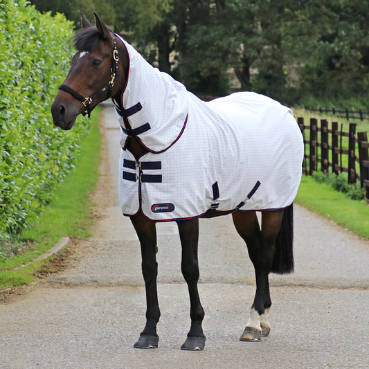 DefenceX System ProteX Summer Sheet