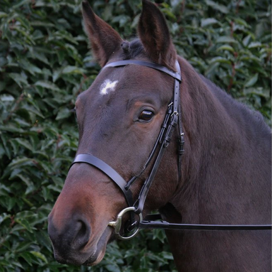 Hy Hunter Bridle with Rubber Grip Reins