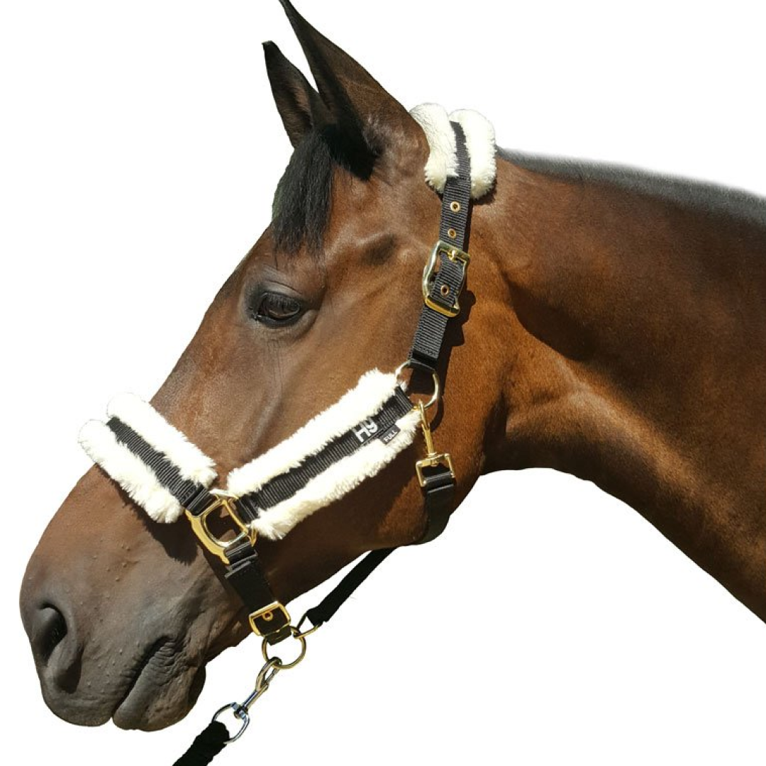 HY Sheepskin Head Collar