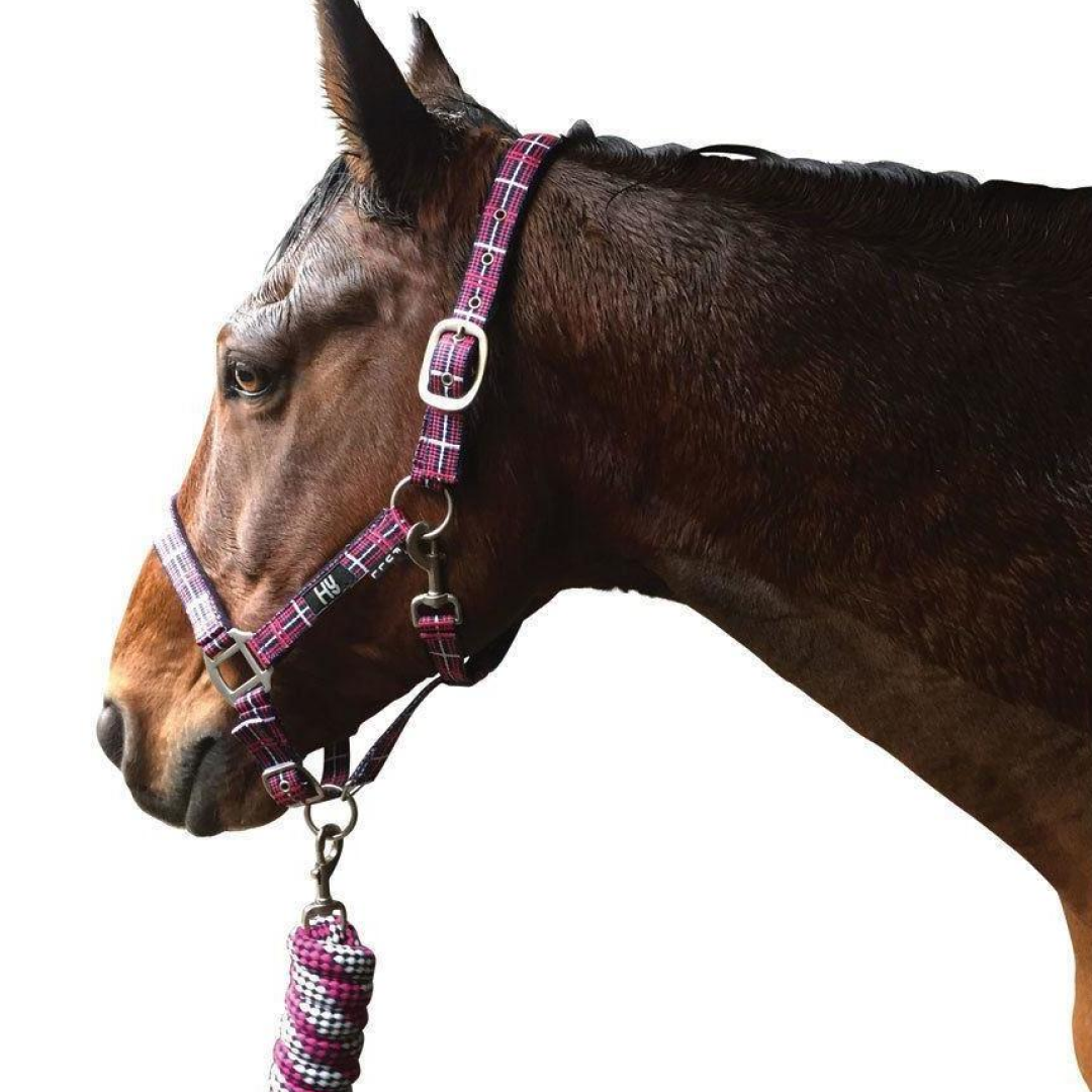 Hy Tartan Head Collar with Lead Rope