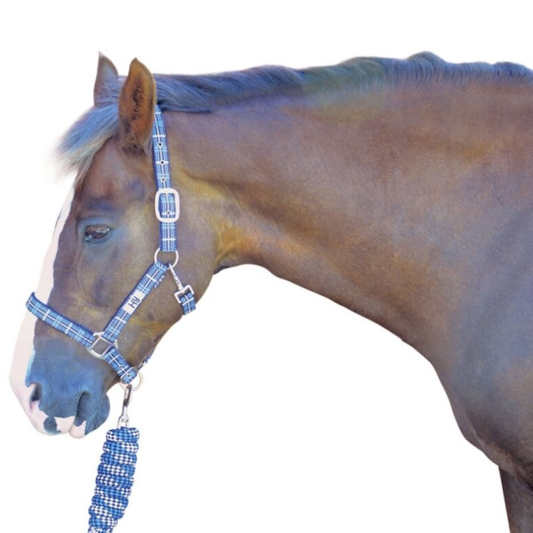Hy Tartan Head Collar with Lead Rope
