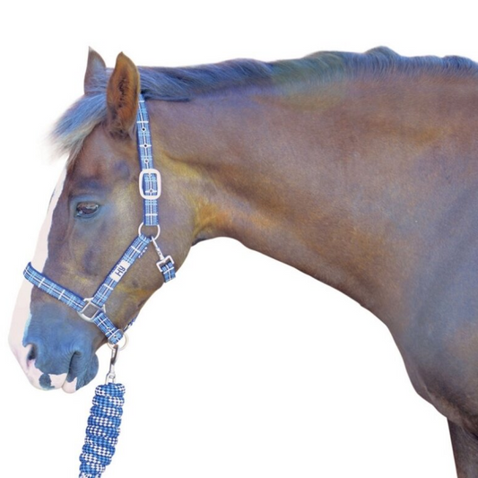 Hy Tartan Head Collar with Lead Rope