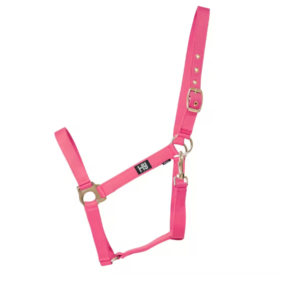Hy Economy Plus Head Collar