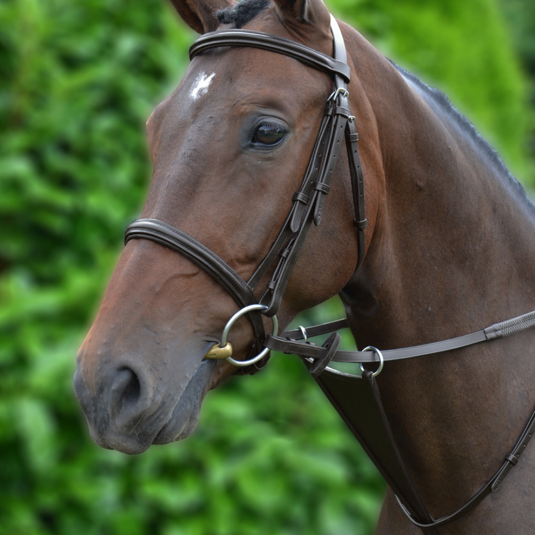 HY Bib Martingale