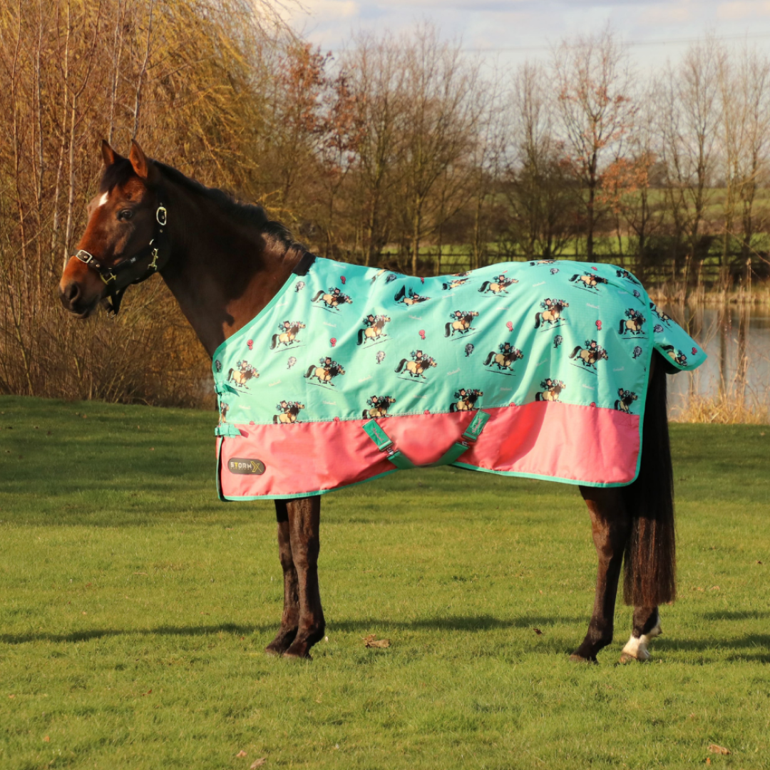 StormX Original 0g Thelwell Collection Trophy Turnout Rug