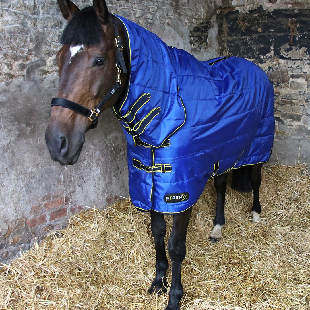 StormX Original 100g Combo Stable Rug