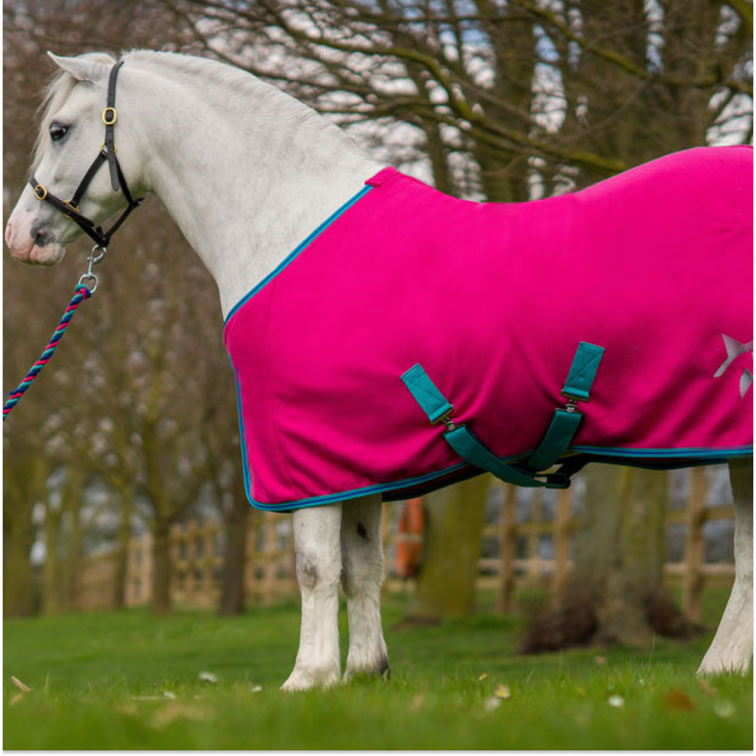 Hy Zeddy Fleece Rug