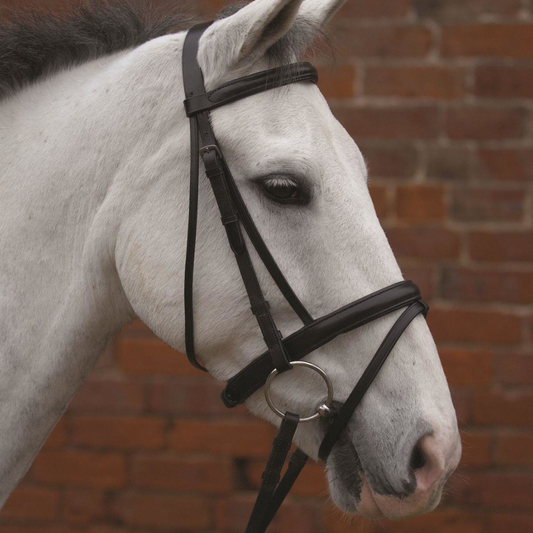 Hy Padded Flash Bridle with Rubber Grip Reins
