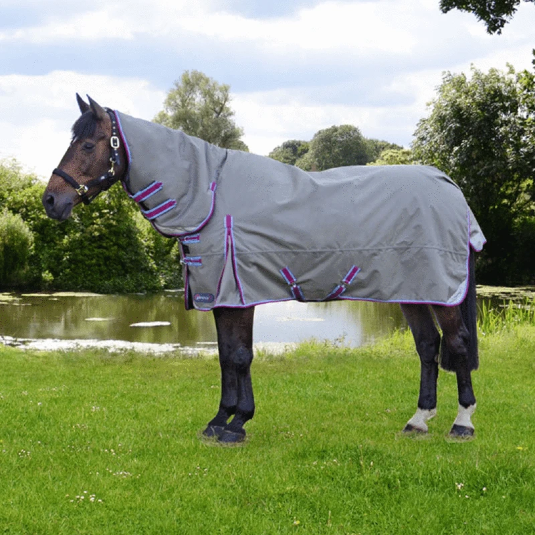 DefenceX System 300g Combi Turnout Rug