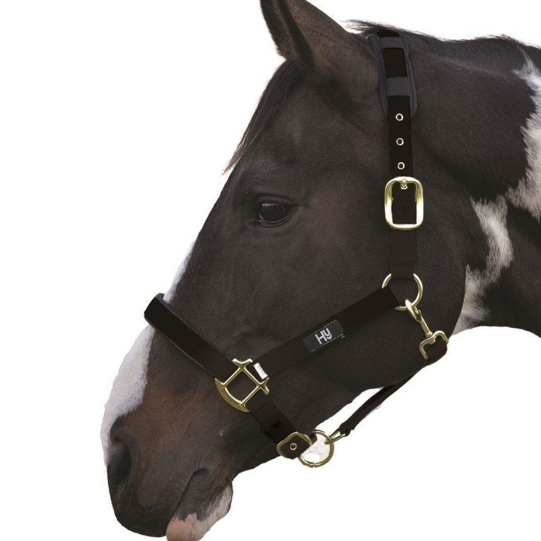 Hy Deluxe Padded Head Collar
