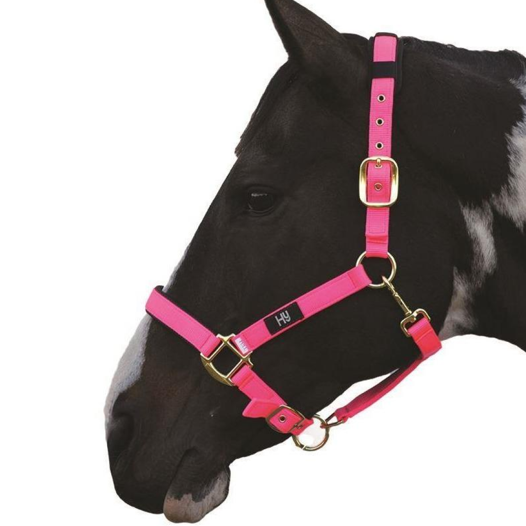 Hy Deluxe Padded Head Collar
