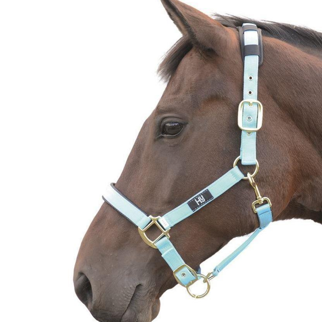 Hy Deluxe Padded Head Collar