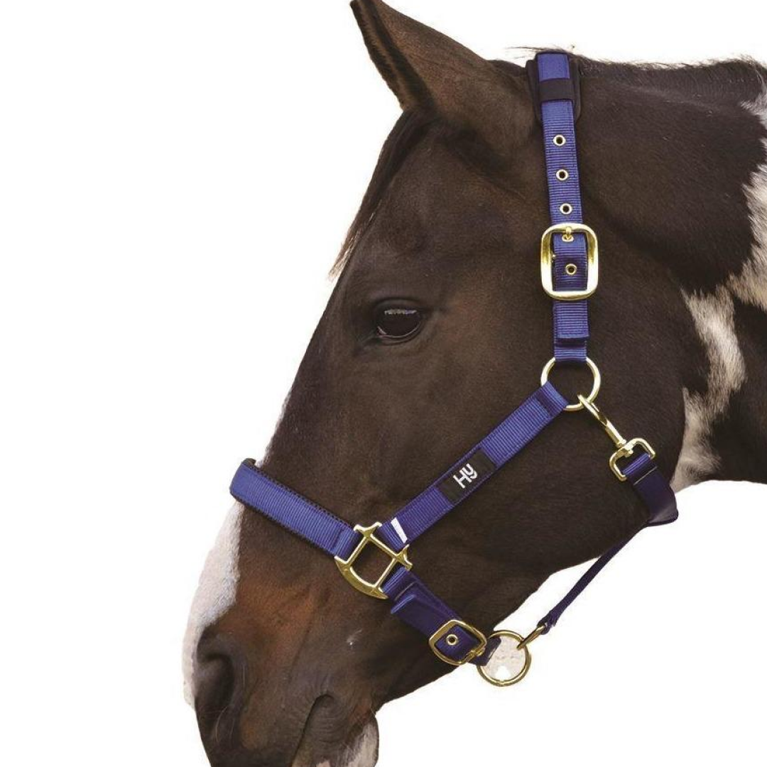 Hy Deluxe Padded Head Collar