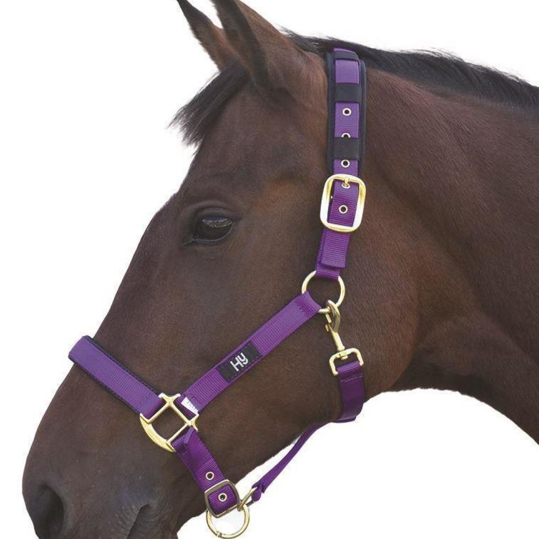 Hy Deluxe Padded Head Collar