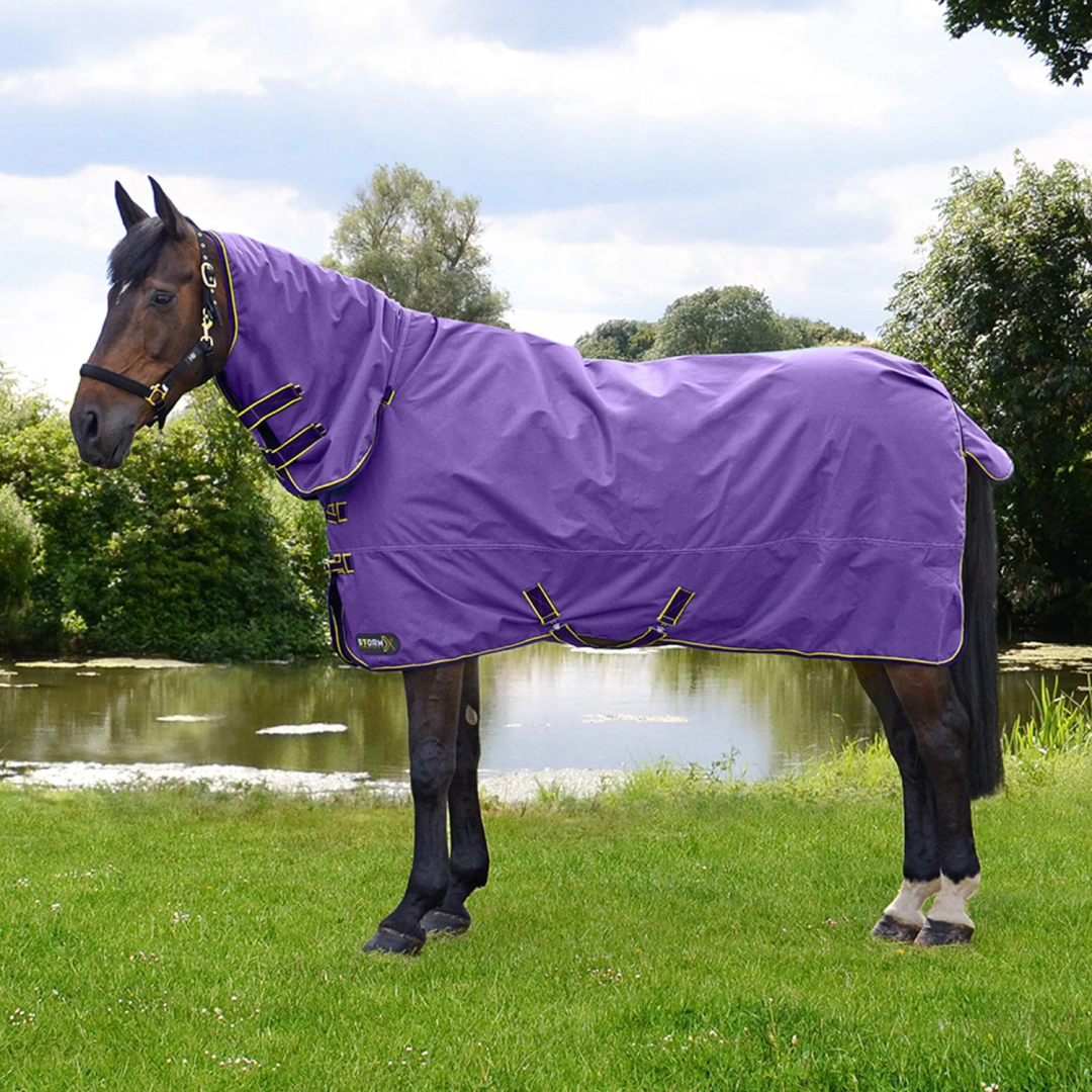 StormX Original 50g Combo Turnout Rug