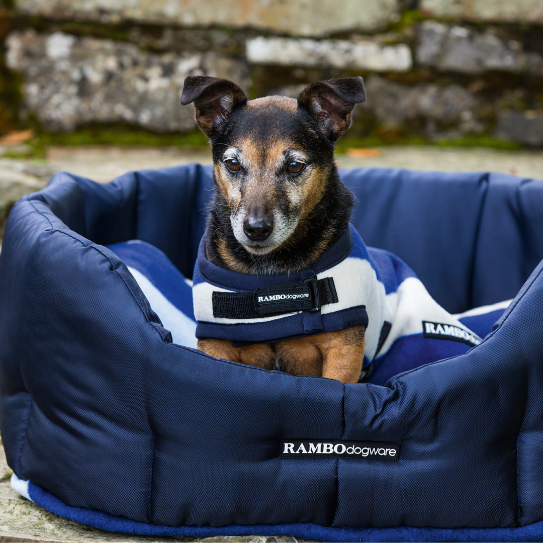 Horseware Ireland Rambo Deluxe Dog Rug 200g