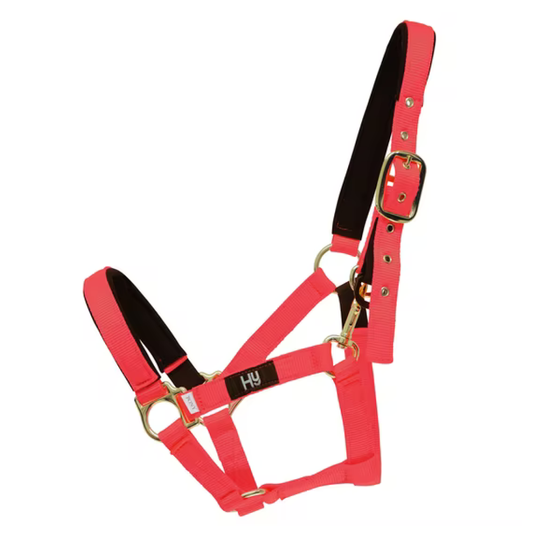Hy Fieldsafe Head Collar