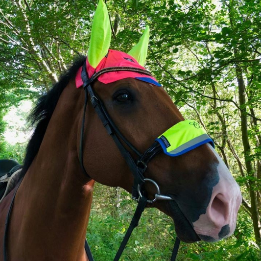 Equisafety Charlotte Dujardin Mesh Ears