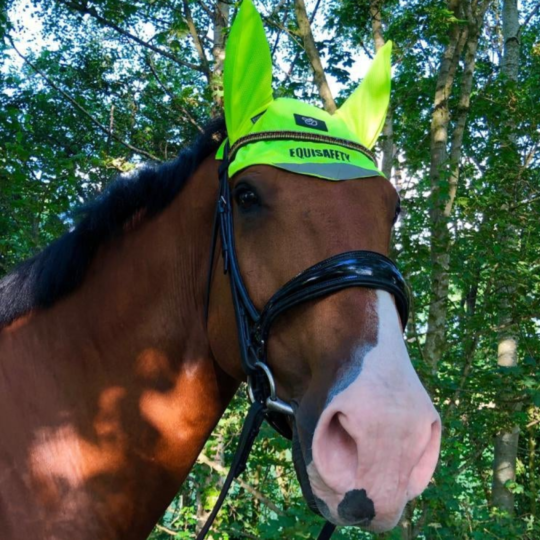Equisafety Charlotte Dujardin Mesh Ears